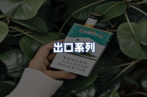 出口系列